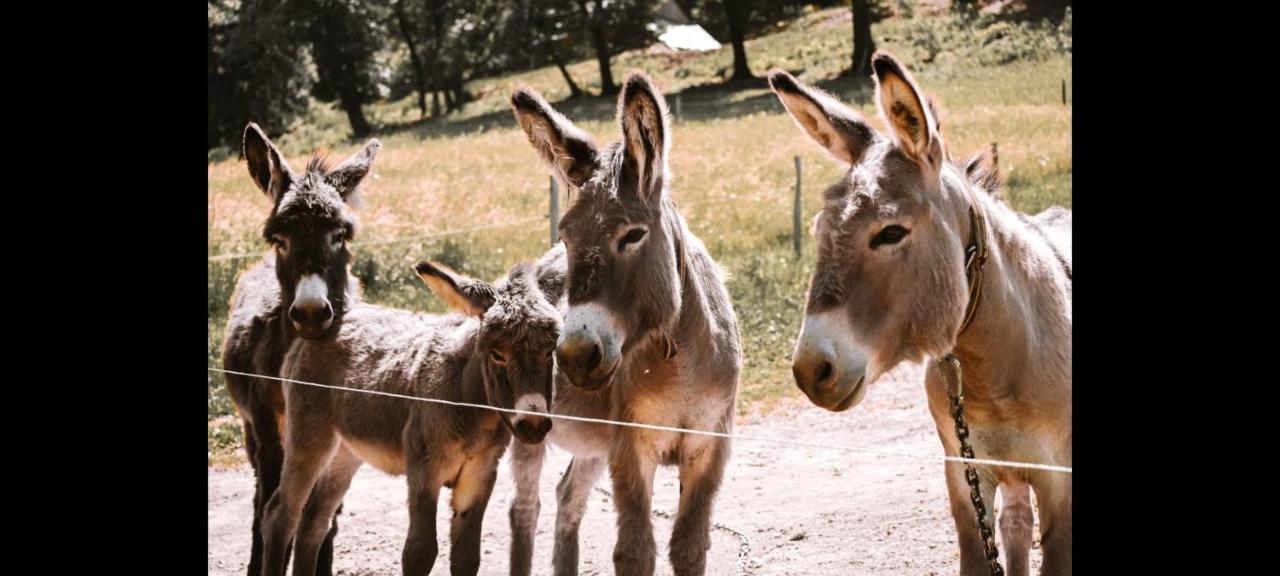 Ranc Stojnsek Villa Rogaška Slatina Dış mekan fotoğraf